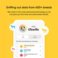 Embark Dog DNA Test