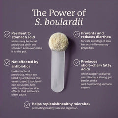 S. Boulardii + FOS Powder