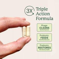 Gut Maintenance Plus Supplement