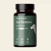 Gut Restore Supplement for Dogs