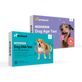 Breed + Health and Age Test Bundle