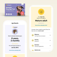 Breed + Health and Age Test Bundle