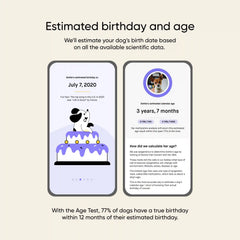 Dog Age Test