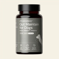 Gut Maintenance Plus Supplement