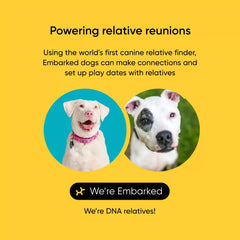 Purebred Test 2-Pack