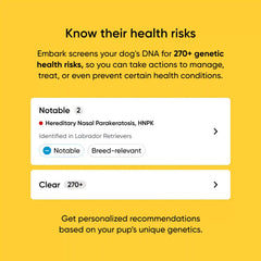 Embark Dog DNA Test