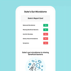 Gut Health Test