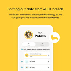 Purebred Dog DNA Test
