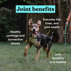Allergy and Joint Supplement Bundle